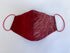 Red and Gold Facemask